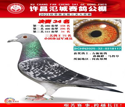 河南氾城决赛34名