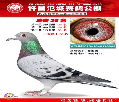 河南氾城决赛36名