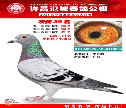 河南氾城决赛39名