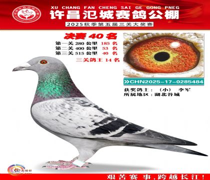 河南氾城决赛40名