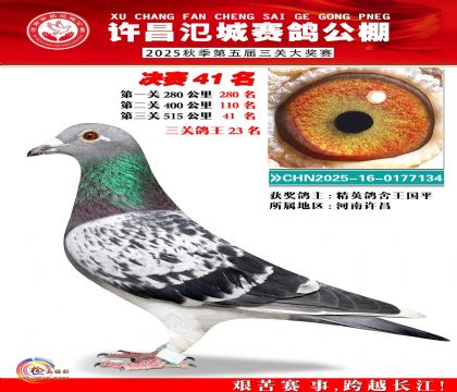 河南氾城决赛41名