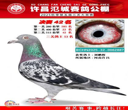 河南氾城决赛42名