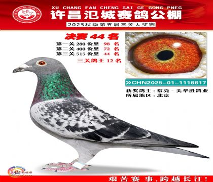 河南氾城决赛44名