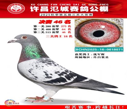 河南氾城决赛46名