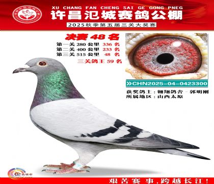 河南氾城决赛48名