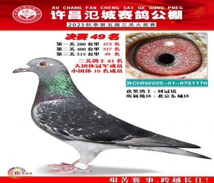 河南氾城决赛49名