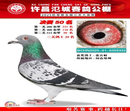 河南氾城决赛50名