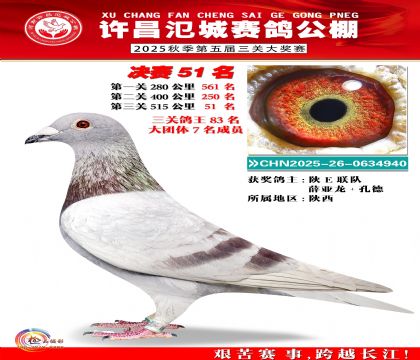 河南氾城决赛51名