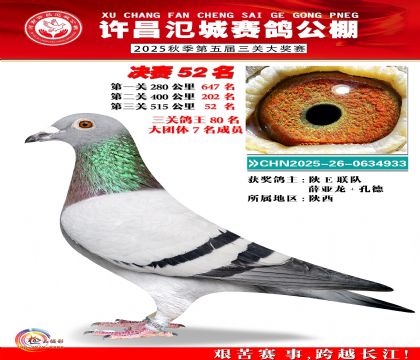 河南氾城决赛52名