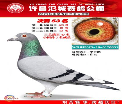 河南氾城决赛53名