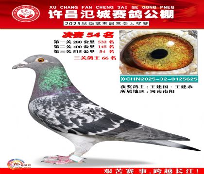 河南氾城决赛54名