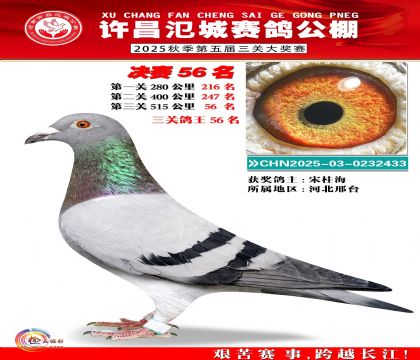 河南氾城决赛56名