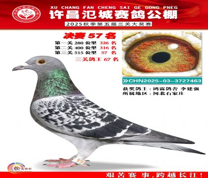 河南氾城决赛57名