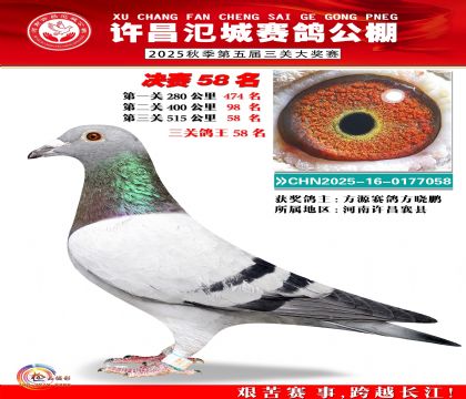 河南氾城决赛58名