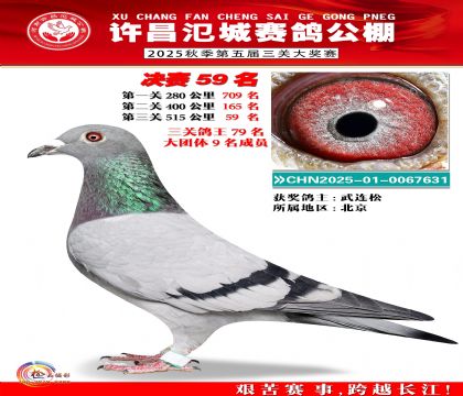 河南氾城决赛59名