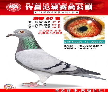 河南氾城决赛60名