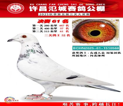 河南氾城决赛61名