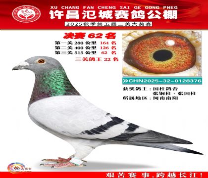 河南氾城决赛62名