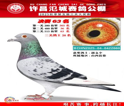 河南氾城决赛63名