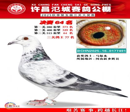 河南氾城决赛64名