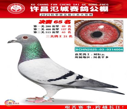 河南氾城决赛65名