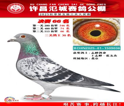 河南氾城决赛66名