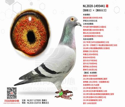 2ĸ��NL2020-1495441ͼ