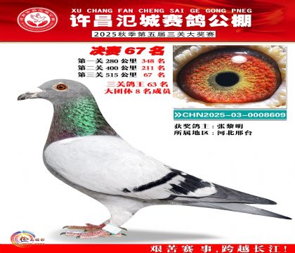 河南氾城决赛67名