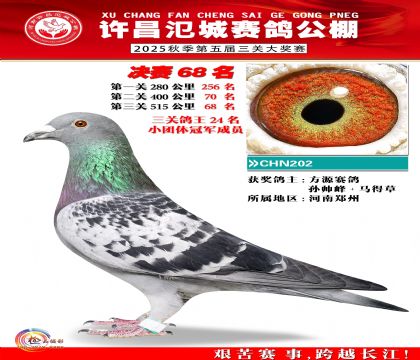 河南氾城决赛68名