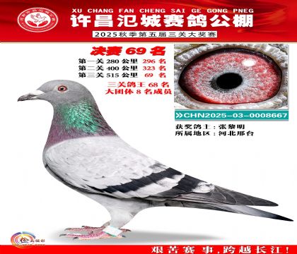 河南氾城决赛69名