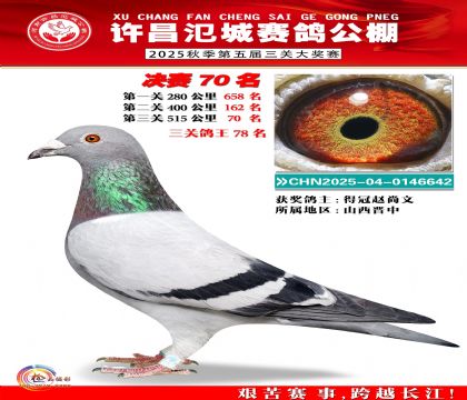 河南氾城决赛70名