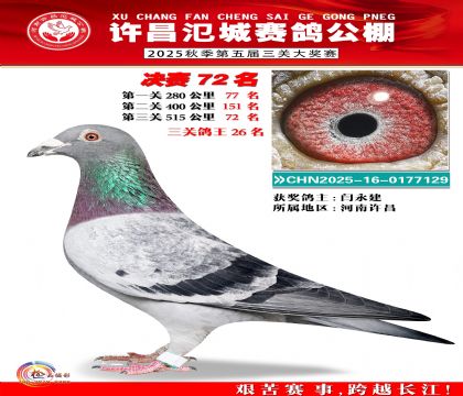 河南氾城决赛72名