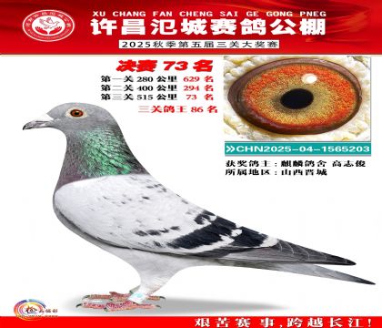 河南氾城决赛73名