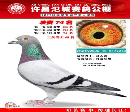 河南氾城决赛74名