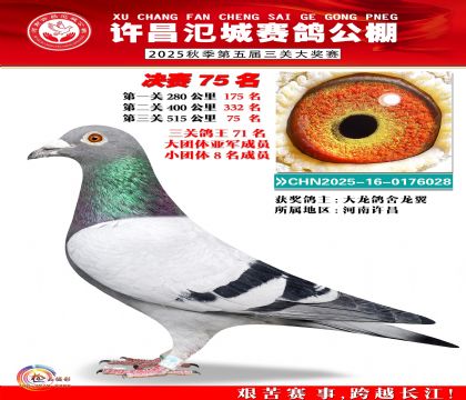 河南氾城决赛75名