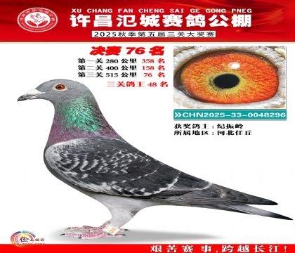 河南氾城决赛76名