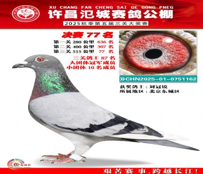 河南氾城决赛77名