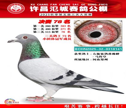 河南氾城决赛78名