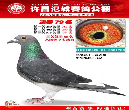 河南氾城决赛79名