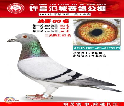 河南氾城决赛80名