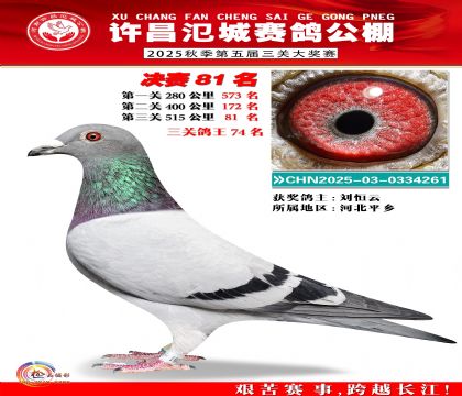 河南氾城决赛81名