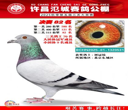 河南氾城决赛82名