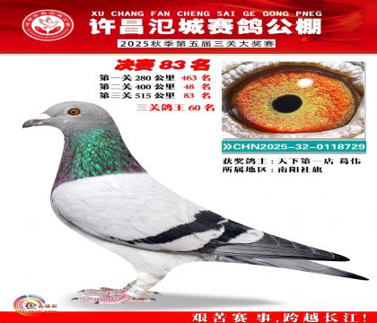 河南氾城决赛83名