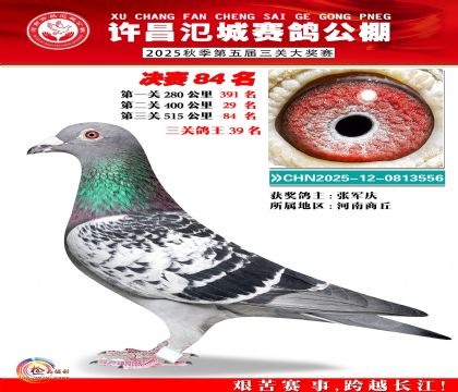 河南氾城决赛84名