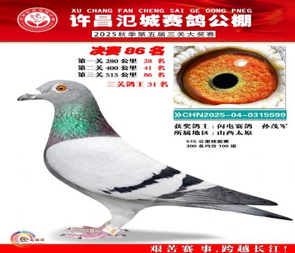 河南氾城决赛86名