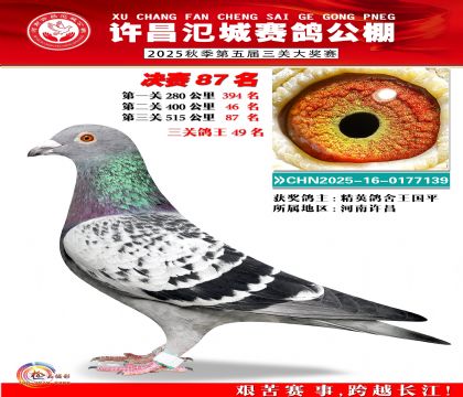 河南氾城决赛87名