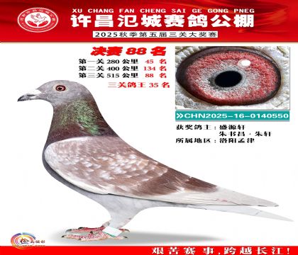 河南氾城决赛88名