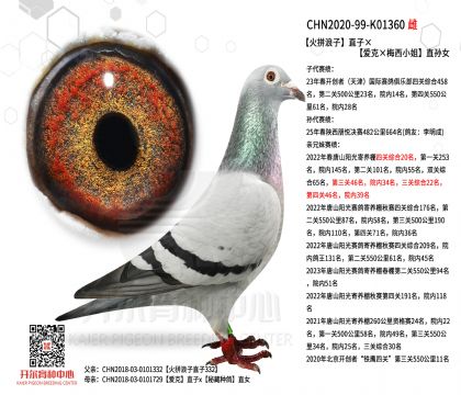 3ĸ��CHN2020-99-K01360