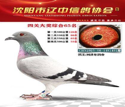 25���Ĺش��ۺ�65��