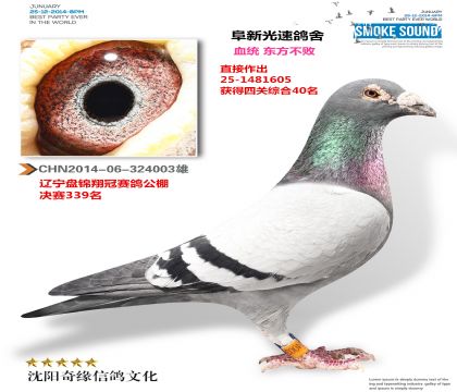 �̽���ڹ������339��